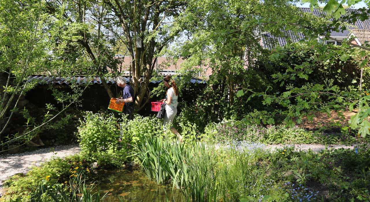 heemtuin gaasterland
