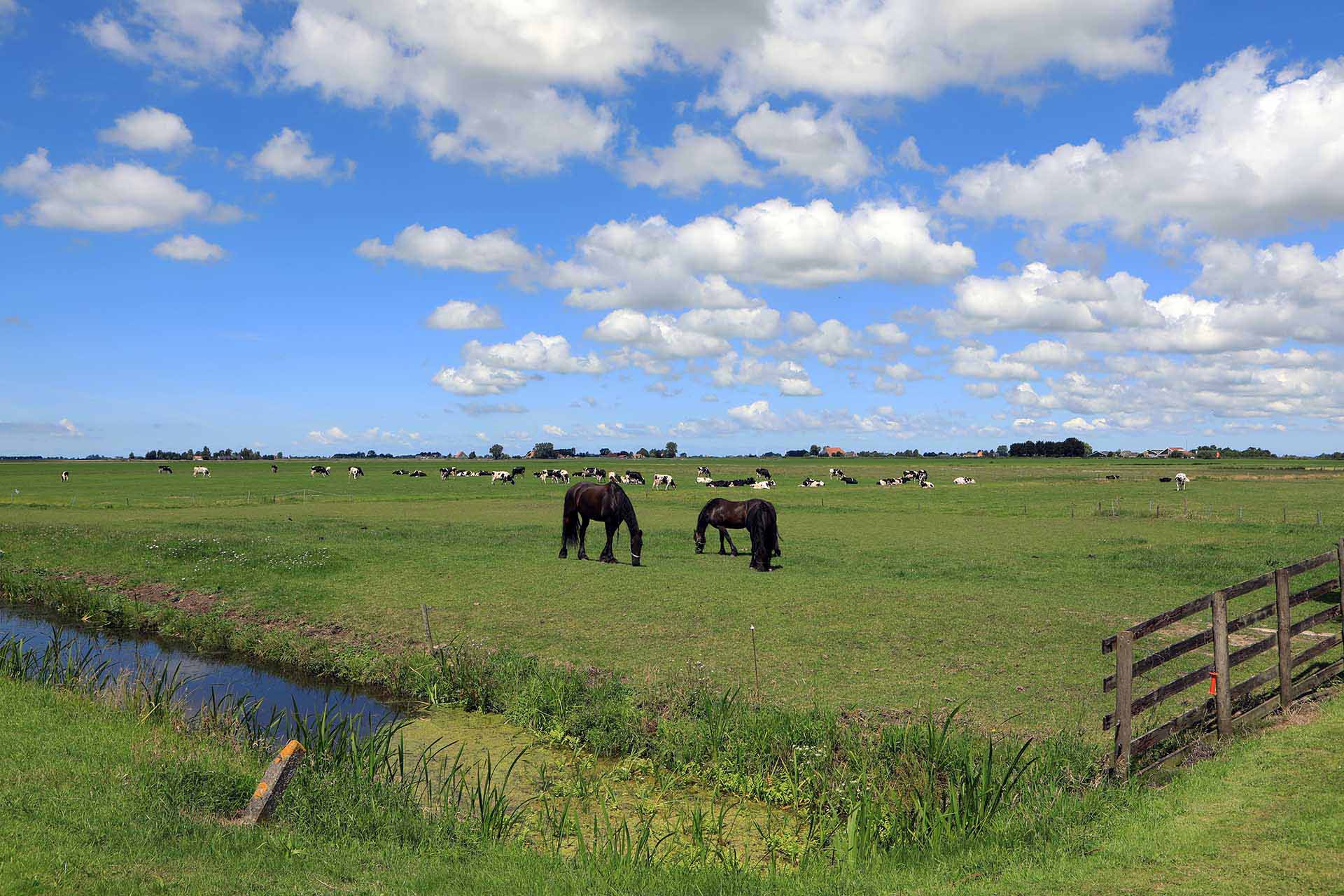 veen- en merengebied friesland
