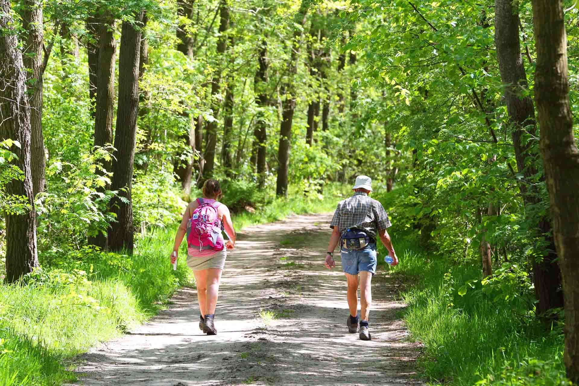 fiets en wandelroutes friesland