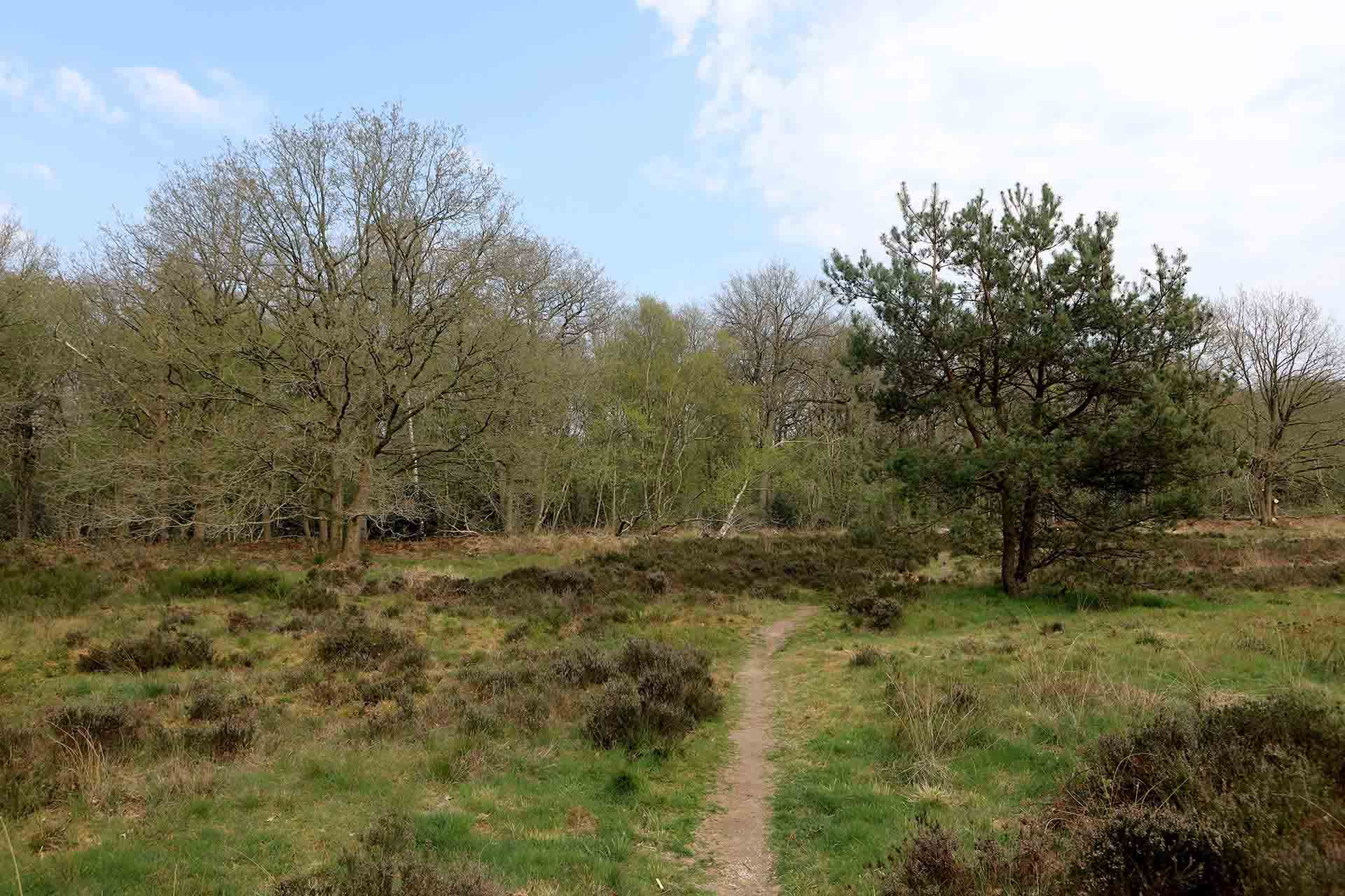 Natuurgebied Lycklamabos