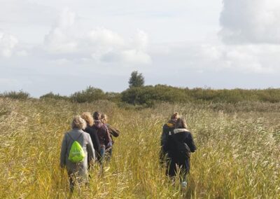 Makkumer Noordwaard wandelen