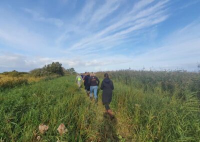 Makkumer Noordwaard wandeling