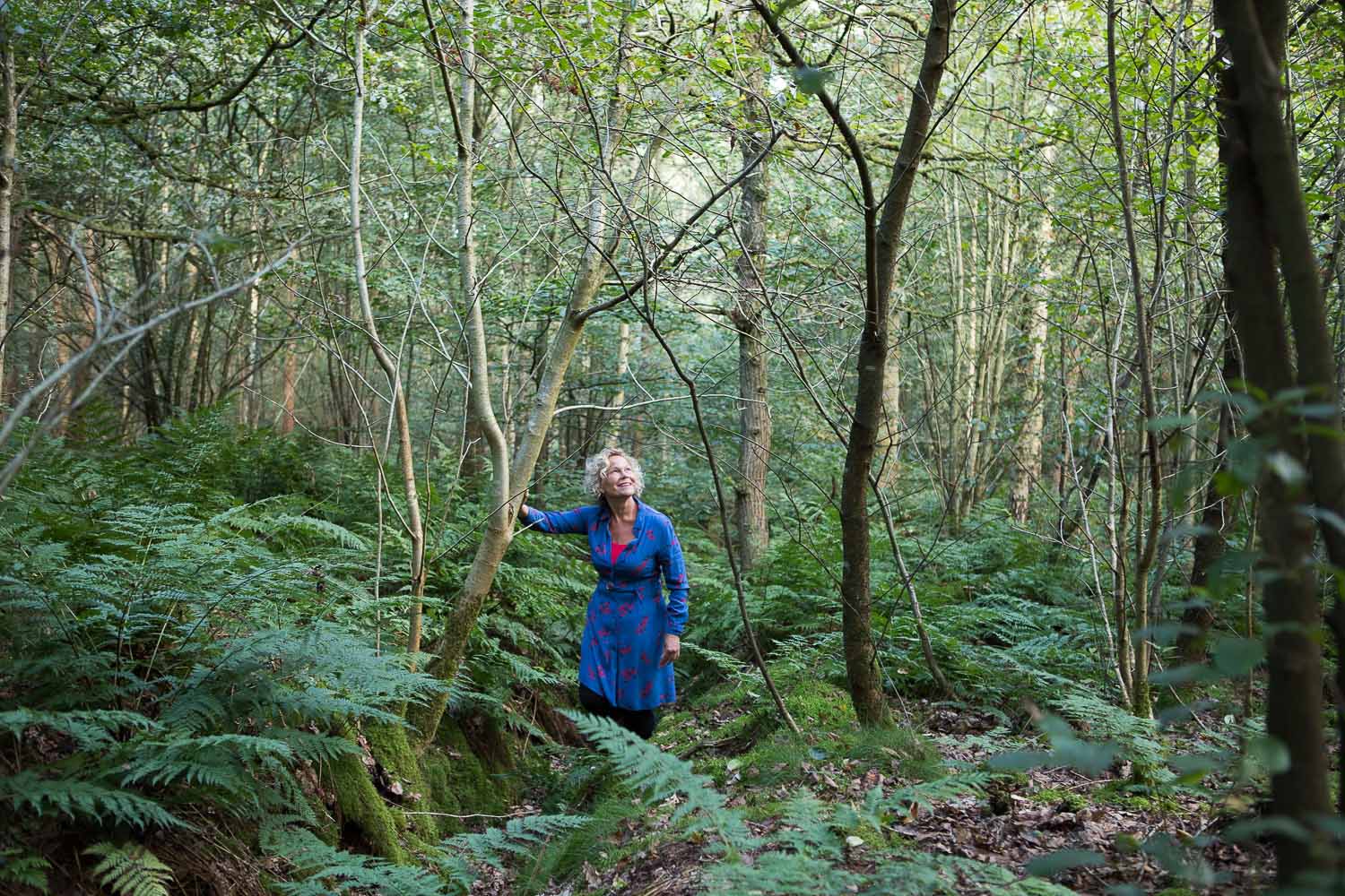 gaasterland natuurlijk bos geertje