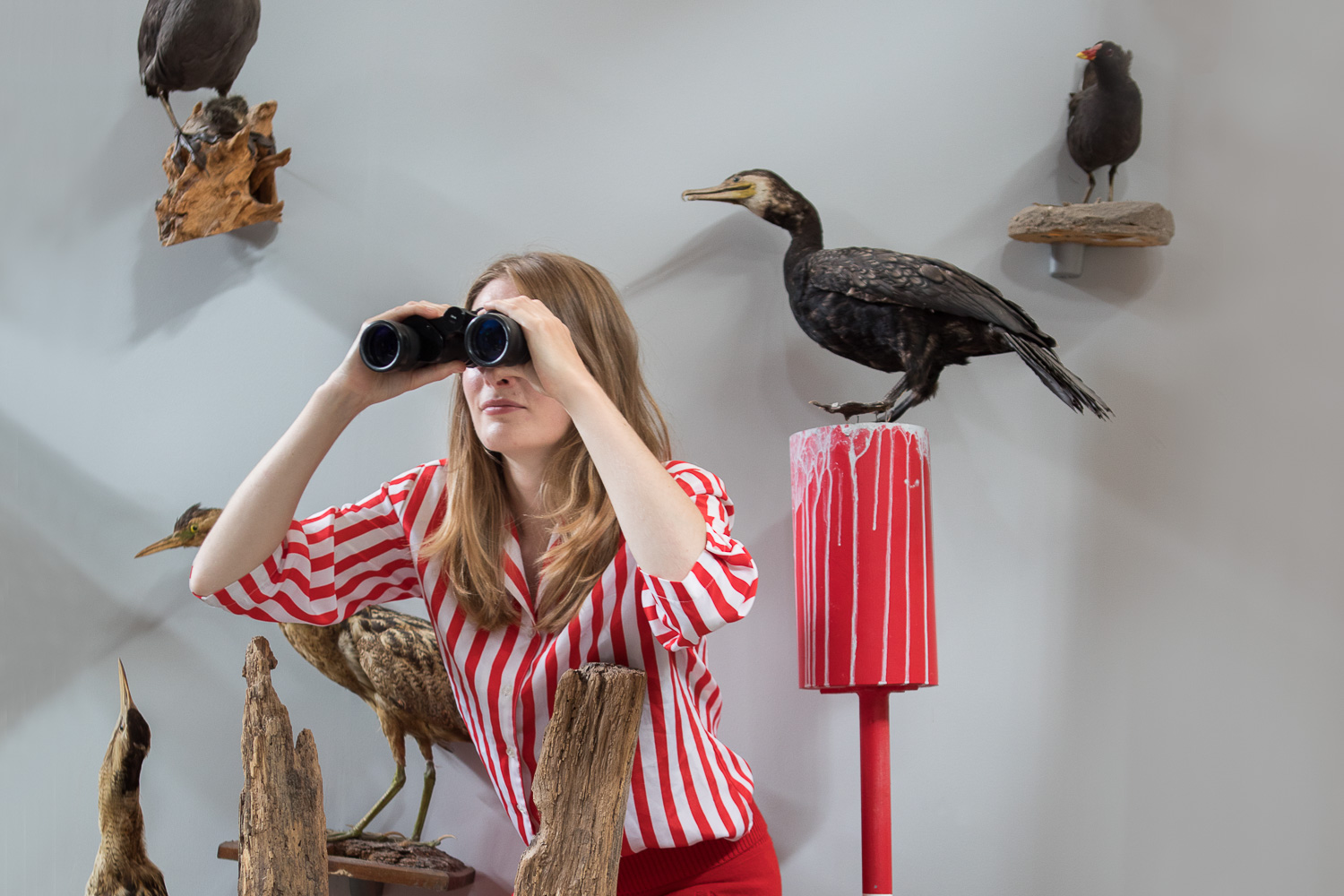 Mar en klif opgezette vogels