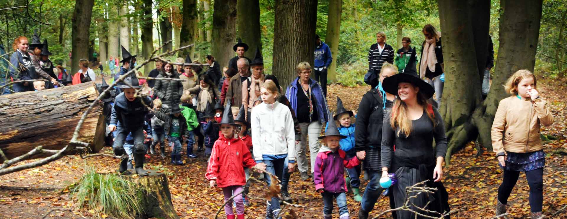 Gaasterlandse Natuurweek & Groene Markt Festival