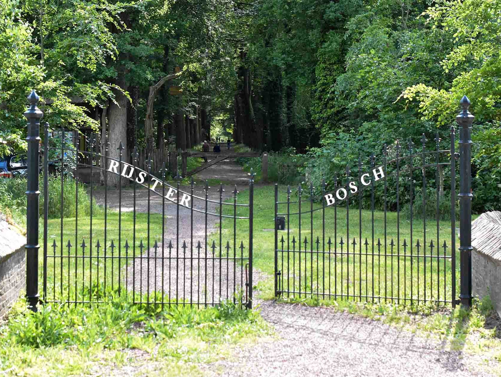 Rijsterbos