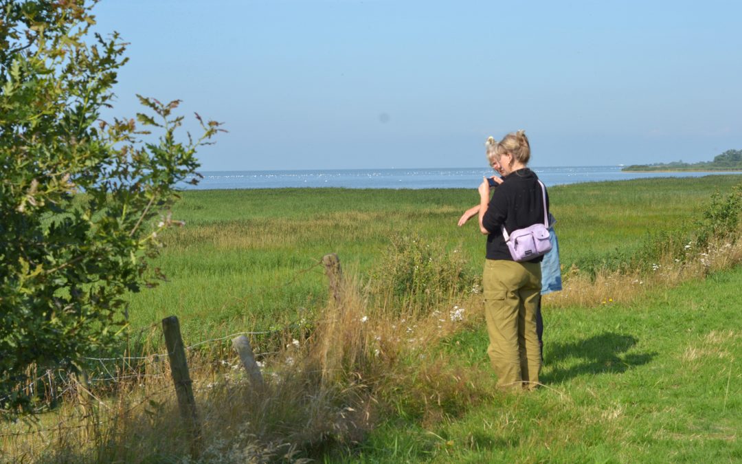 ‘Anthotyping’ Nationaal Landschap
