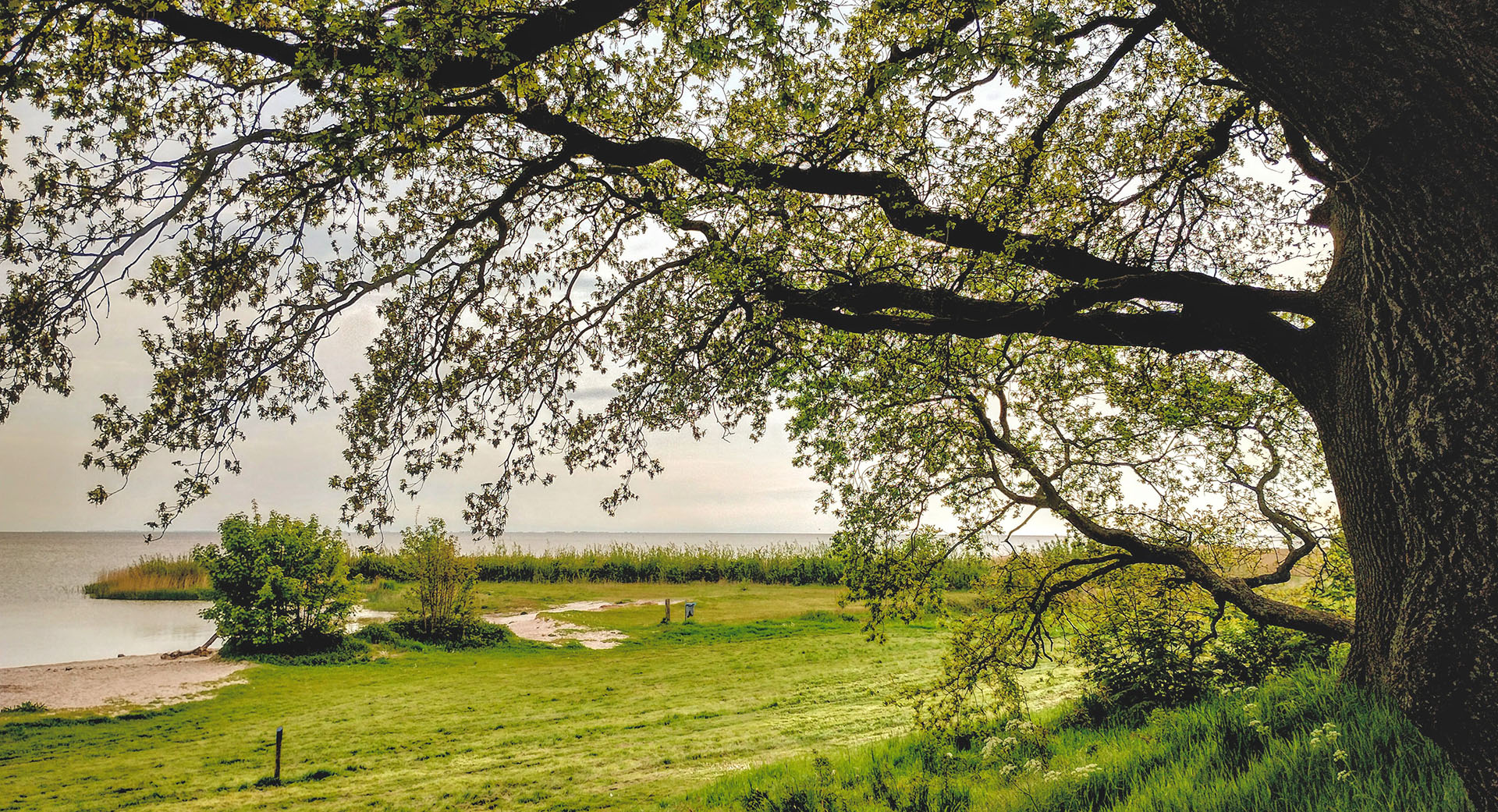 Mirnser klif
