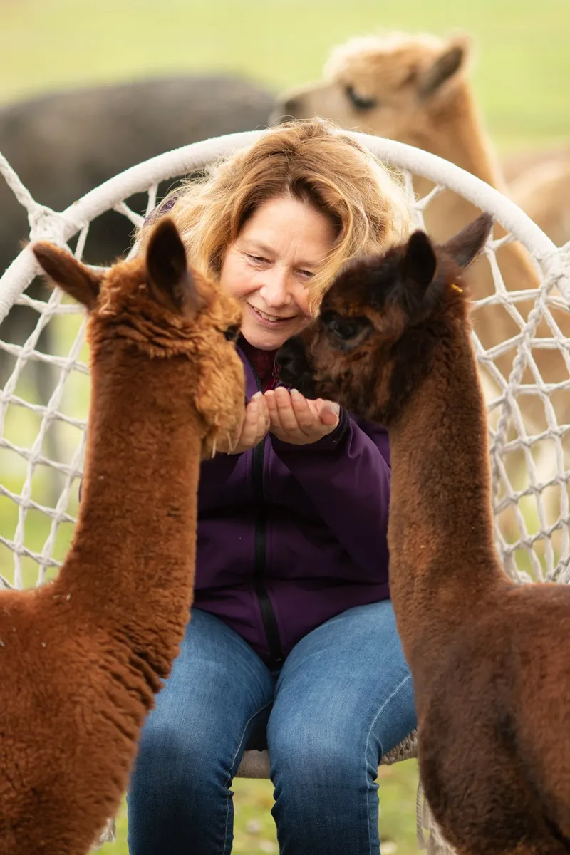 Meet & Greet met Alpaca’s