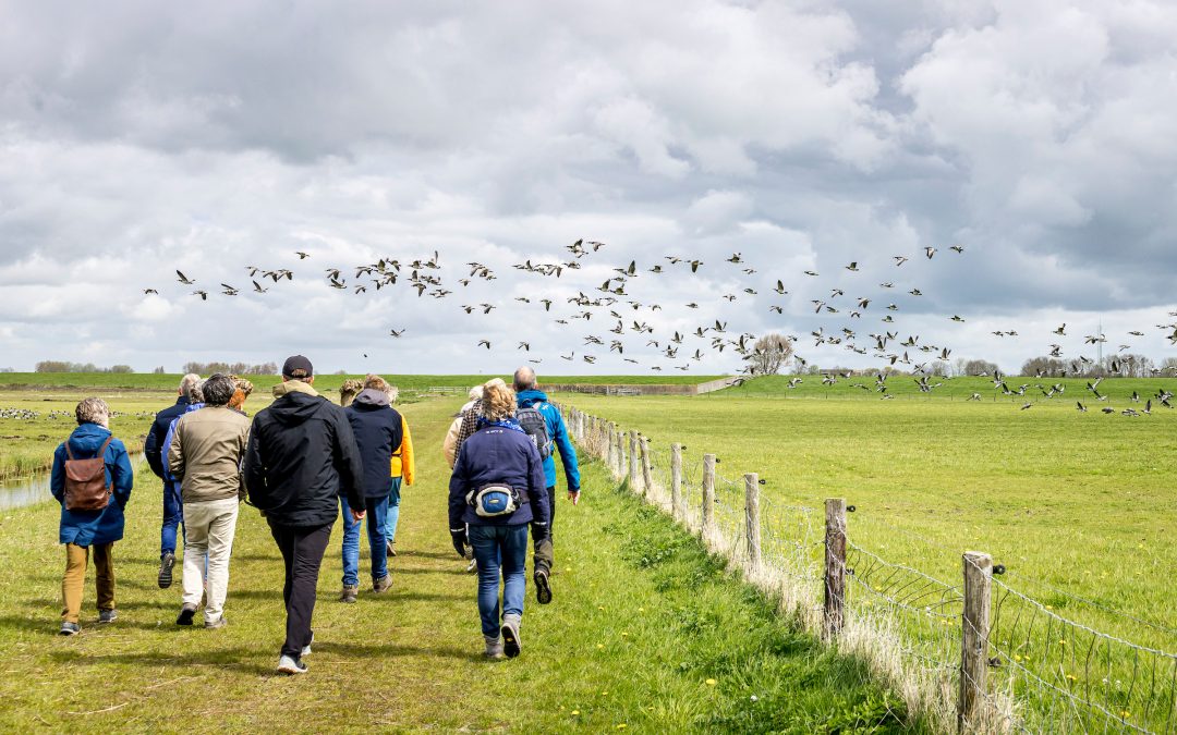 Nationaal Landschap Zuidwest Fryslân lanceert nieuwe wandelgids