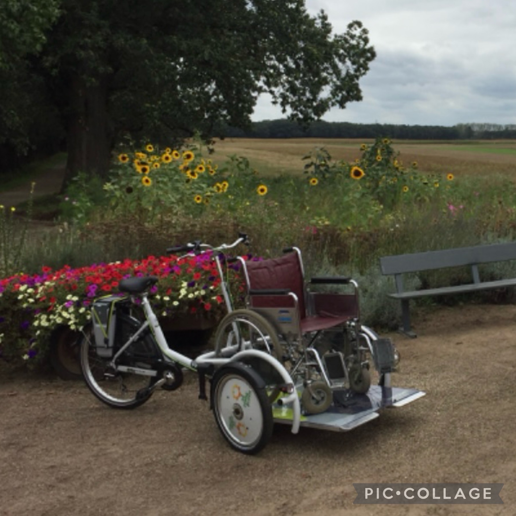 Fietstocht door Gaasterland (aangepaste fiets)
