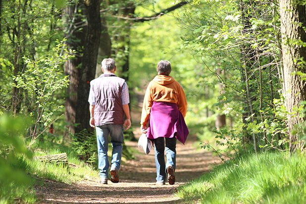 Ontdek het eeuwenoude Rysterbosk volop natuur en cultuurhistorie