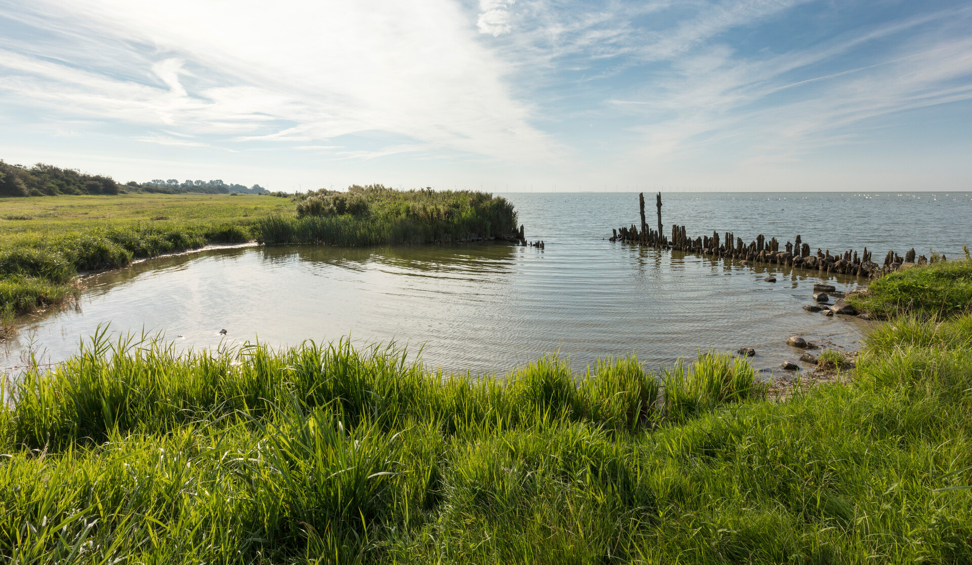 Excursie: een tijdreis op het Oudemirdumerklif