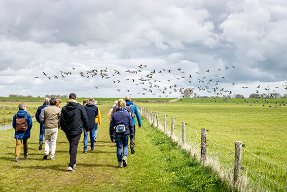 Bieb Café Sneek: Lezing Nationaal Landschap Zuidwest-Fryslân