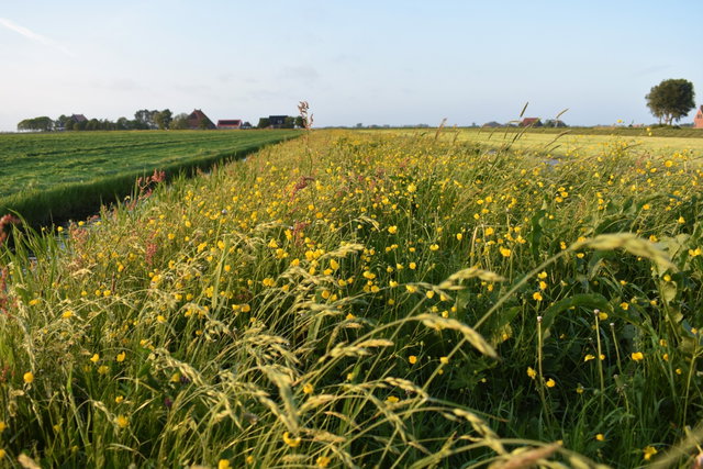 Excursie rond Workum (Tillefonnepad)